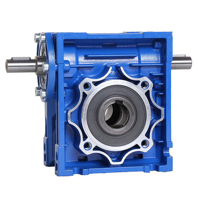 RV Series Wormtandwielmotor