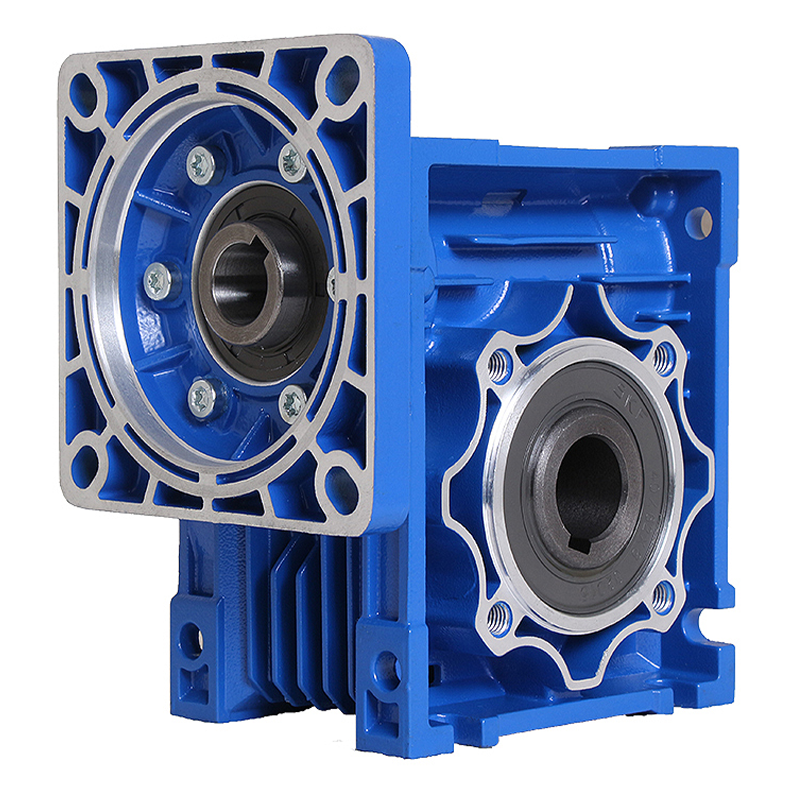 RV Series Wormtandwielmotor