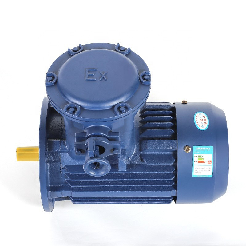 Driefasige Asynchrone Motor